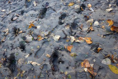 que significa sonar con lodo barro