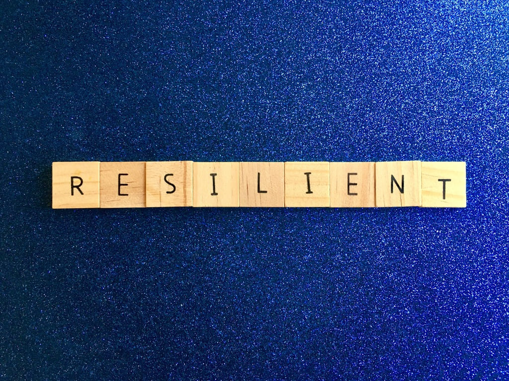 resiliencia significado
