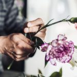 40 Tipos de Flores y su Significado
