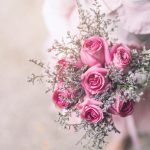 Descubre el significado de las rosas rosadas