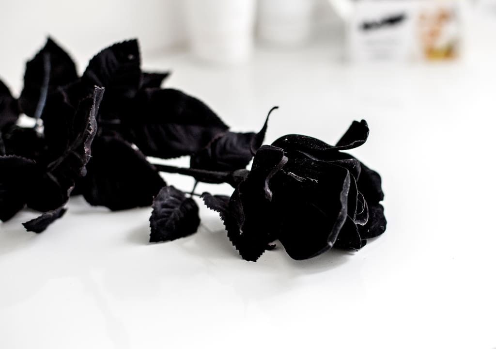 simbolismo rosas negras