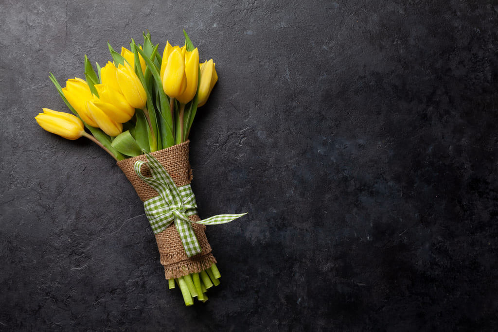 tulipanes significado simbolico