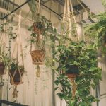 Decoración de interiores con plantas colgantes: ideas y consejos para crear un ambiente natural