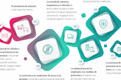 bioseguridad en la imagen