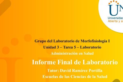 comparacion sistemas endocrino y exocrino
