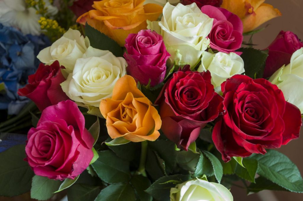 el significado de regalar flores amor amistad y gratitud