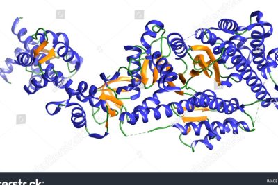 estructura de la proteina