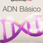 El significado y la influencia del ADN en la genética