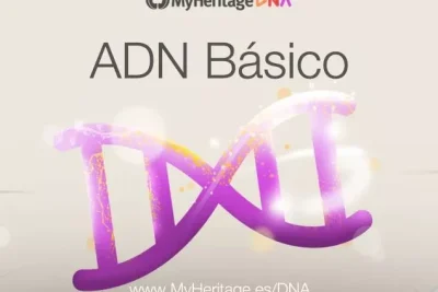 estructura del adn