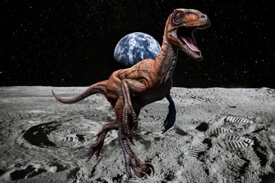 fosiles de dinosaurios