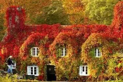 la magia del otono cambios climaticos y colores de hojas