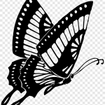 La simbología de las mariposas negras: una mirada profunda