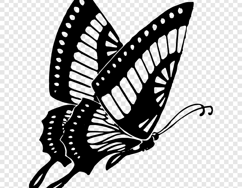 mariposas negras volando
