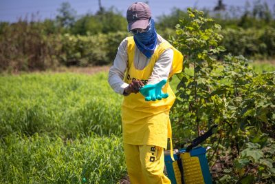 plaguicidas en la agricultura