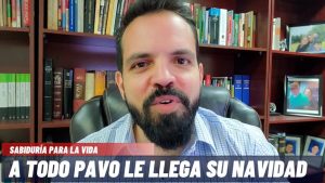 Que significa a cada pavo le llega su navidad