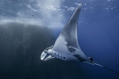 oceanos tierra