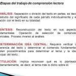 Ventajas y desventajas de la división del trabajo: análisis completo