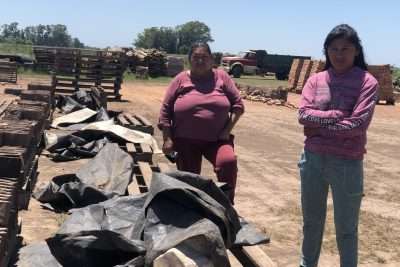 impactos ambientales de ladrillera artesanal