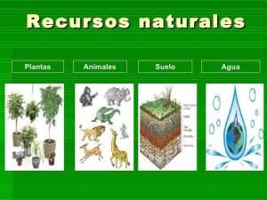 que son los componentes naturales descubre su importancia