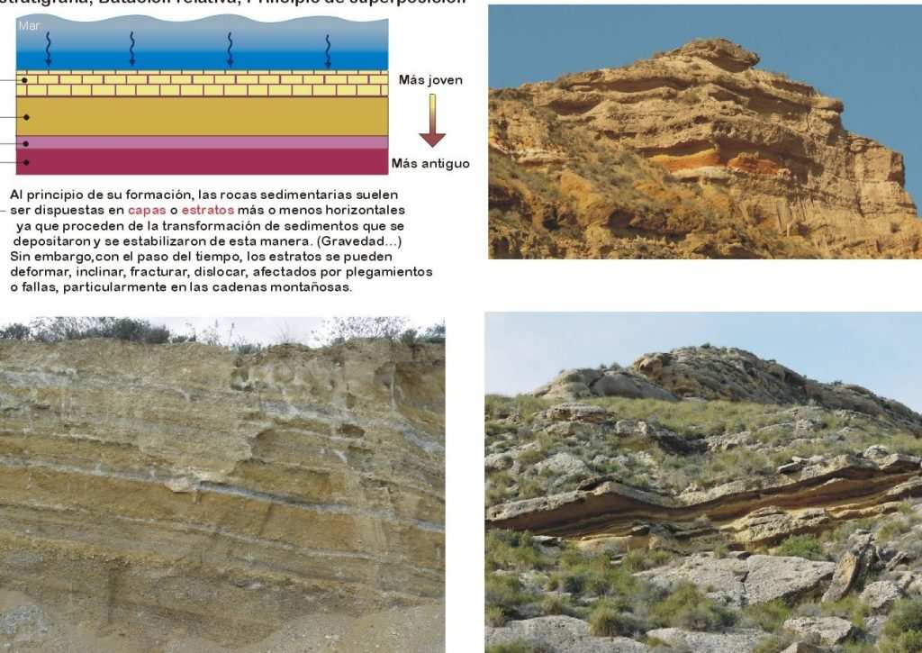 ubicacion de los fosiles y estratos geologicos