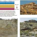 Ubicación de los fósiles y estratos geológicos
